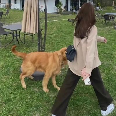 热血安全官